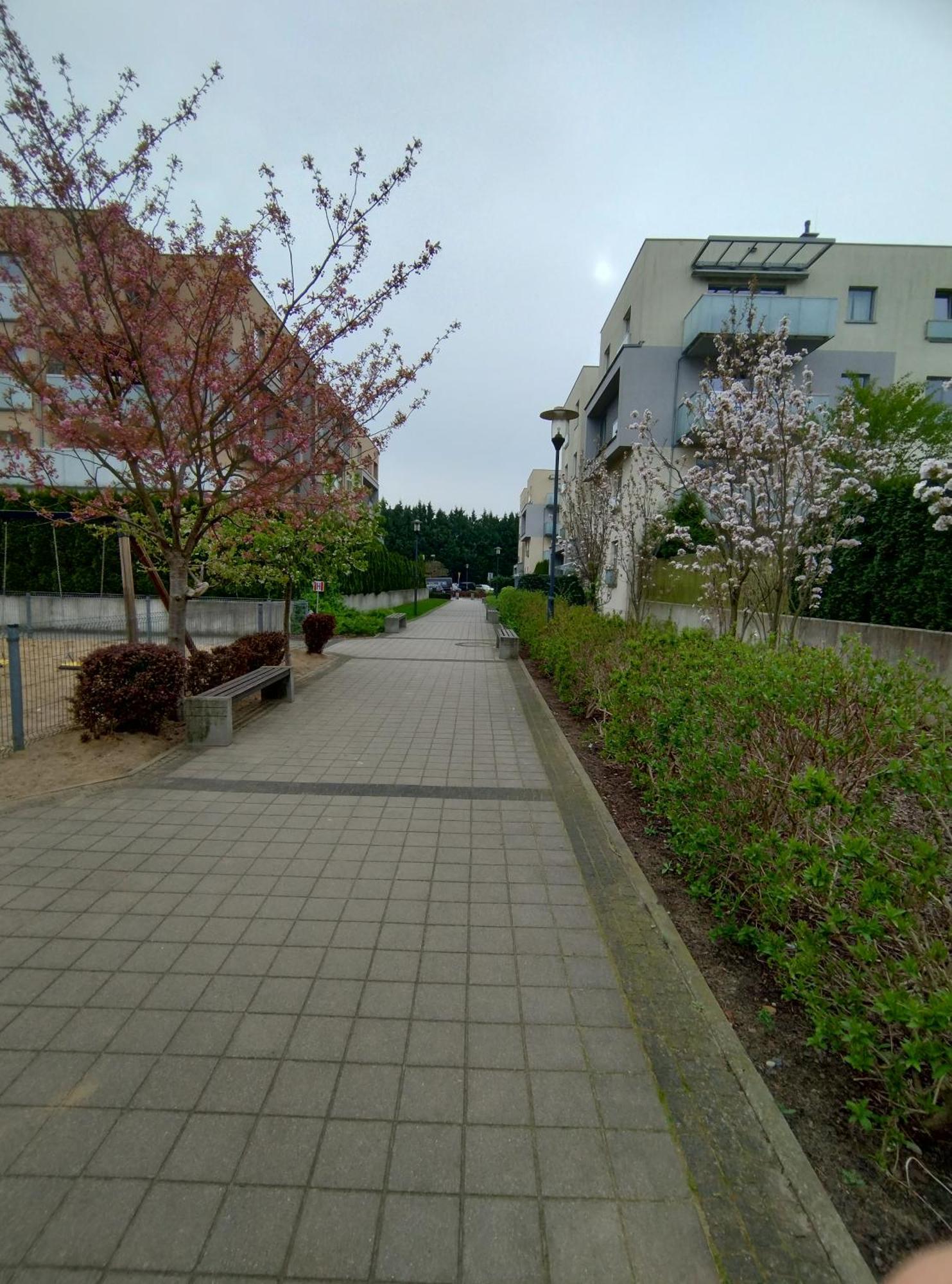 Apartament 1E Barbakan シュチェチン エクステリア 写真